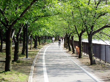 毛馬桜之宮公園の画像（都島エリア）