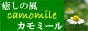 癒しの風カモミール